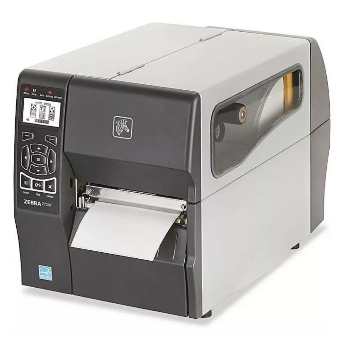 Impresora Térmica Zebra ZT 231