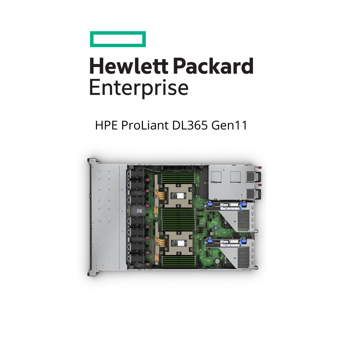 HPE ProLiant DL365 Gen11 (SI)