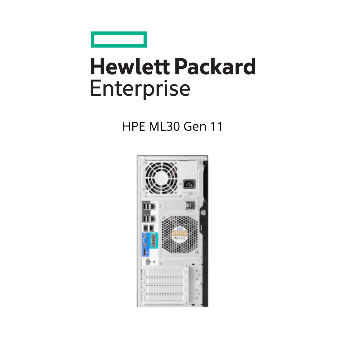 HP Proliant Server ML30 G11 (SI)
