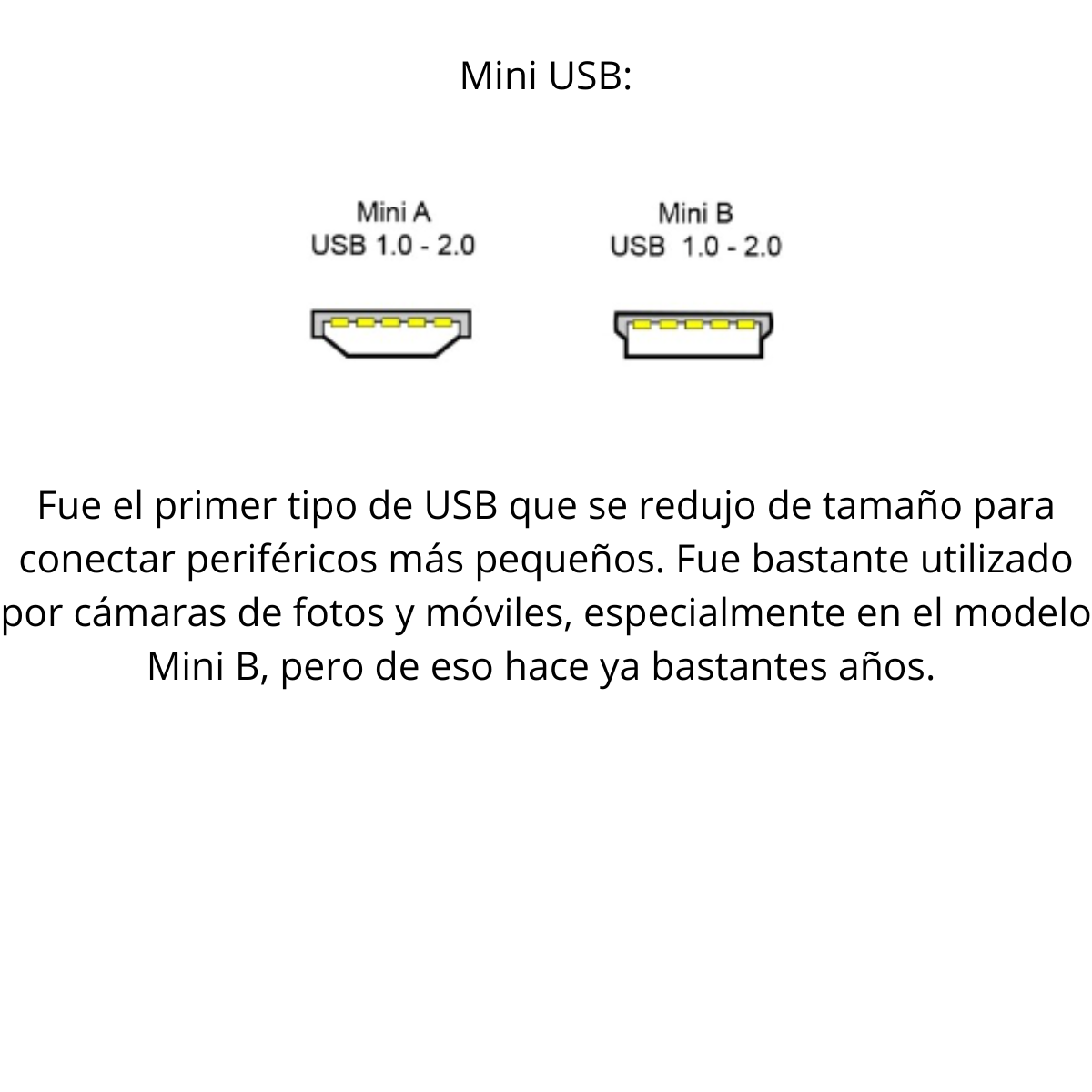 Tipos y Modelos de Conectores USB (SI)