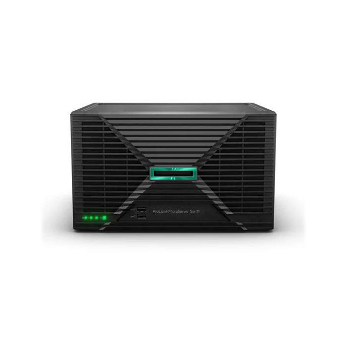 HPE MicroSERVER GEN 11  SMART CHOICE - P79785-D05 (SI)