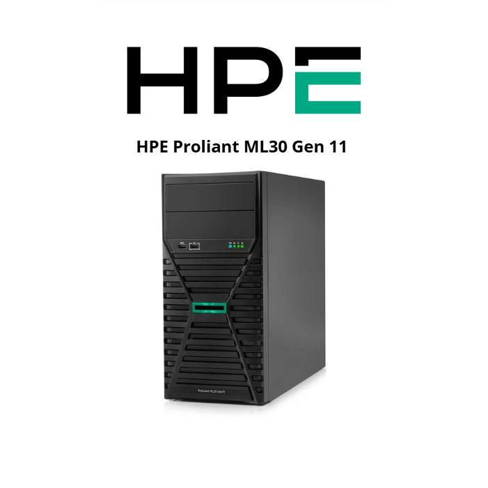 HP Proliant Server ML30 G11 (SI)