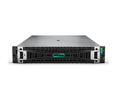 HPE PROLIANT DL380 GEN 11 SMART CHOICE P81495-DM5 (SI)
