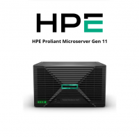 HPE ProLiant Micro Server GEN 11 (SI)