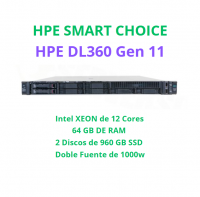 HPE PROLIANT DL360 Gen11 SMART CHOICE P75343-DM5 (SI)