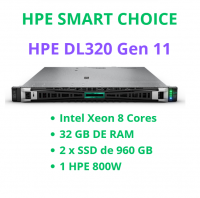 HPE PROLIANT DL320 Gen11 2 x 960GB SSD - P81425-DM5 (SI)