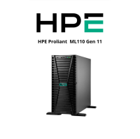 HPE ProLiant Server ML110 Gen11 (SI)
