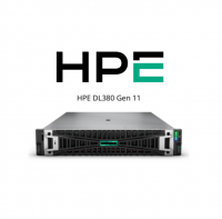 HPE DL380 G11 - 20 Cores 256 GB 2 x 960 GB SSD   + VM Essential (SI)