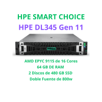 HPE PROLIANT DL345 Gen 11 2 x 480GB SSD  P81832-DM5 (SI)