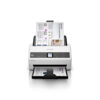 Escáner Epson DS-730N (SI)