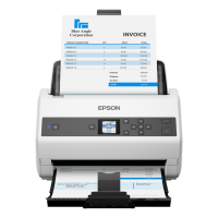 Escáner Epson DS-970 (SI)