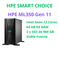 HPE PROLIANT ML350 GEN 11 SMART CHOICE - P79779-D05 (SI)