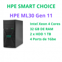HPE ML30 GEN 11 SMART CHOICE - P81418-DM5 (SI)