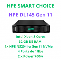 HPE PROLIANT DL145 GEN 11 SMARTCHOICE  P79811-DM5 (SI)
