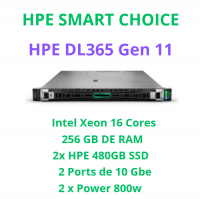 HPE PROLIANT DL365 GEN 11 SMART CHOICE  (SI)