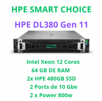 HPE PROLIANT DL380 GEN 11 SMART CHOICE P81495-DM5 (SI)