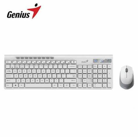 TEC+MOUSE WIRELESS+BT GENIUS SS8230 WHITE