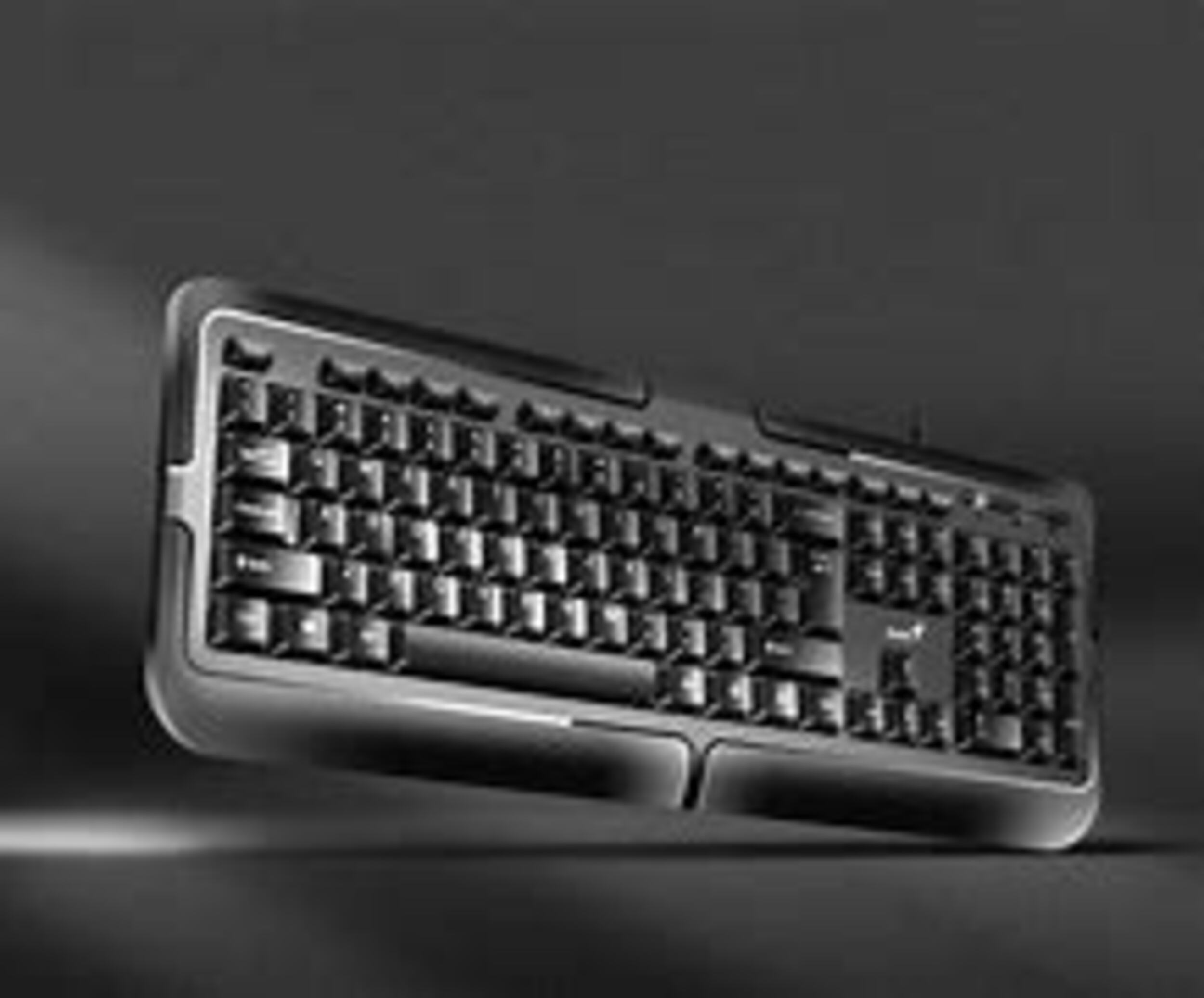 TECLADO GENIUS KB-118 II USB BLACK